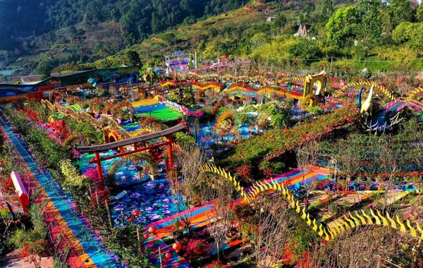 Trọn gói chi phí đi Đà Lạt mới nhất, đảm bảo tiết kiệm