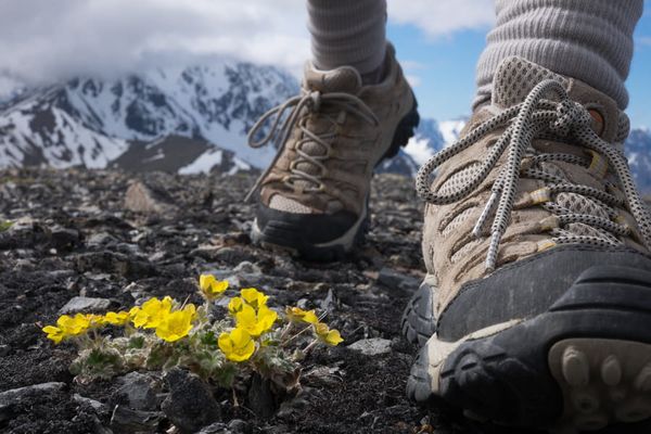Giày trekking Nam/Nữ là gì? - Tiêu chí chọn mua chất lượng
