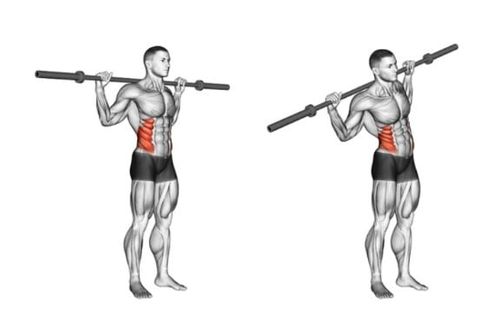 Các bài tập gym giảm mỡ bụng săn chắc, tạo múi cơ cho nam hiệu quả