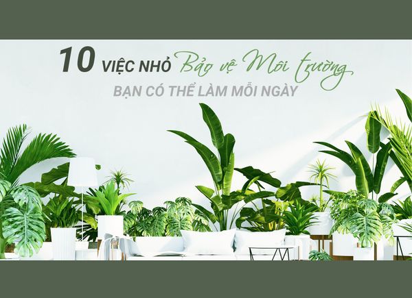 10 Việc Nhỏ Bảo Vệ Môi Trường Bạn Có Thể Làm Mỗi Ngày