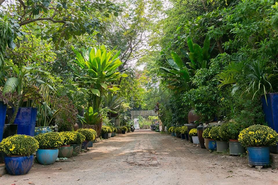 Gốm trong Kiến trúc và Đời sống | Chậu gốm trồng cây, đến Xuân thì hoa cứ nở