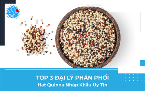 Top 3 Đại Lý Phân Phối Hạt Quinoa Nhập Khẩu Uy Tín