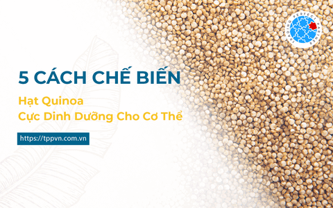 Bỏ Túi 5 Cách Chế Biến Hạt Quinoa Cực Dinh Dưỡng Cho Cơ Thể