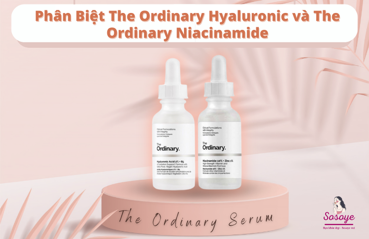 Phân Biệt The Ordinary Hyaluronic và The Ordinary Niacinamide