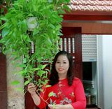 Yen Hai Bui