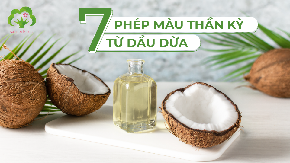 7 PHÉP MÀU THẦN KỲ TỪ DẦU DỪA NHIỀU NGƯỜI ĐÃ BỎ QUA