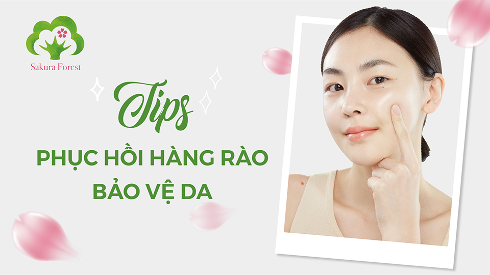 Hàng Rào Bảo Vệ Da Là Gì? Yếu Tố Tiên Quyết Để Da Luôn Khỏe