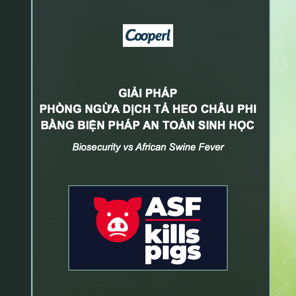 Phòng ngừa ASF bằng biện pháp