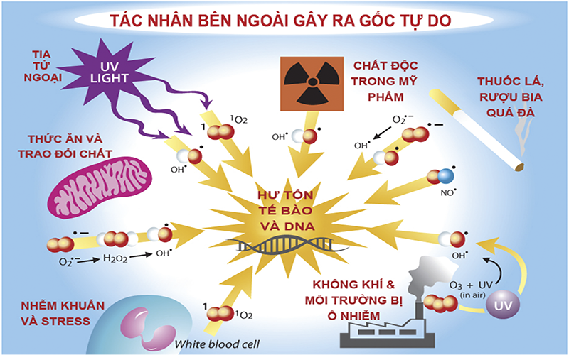 SỰ THẬT VỀ NƯỚC KANGEN CHỮA BỆNH NAN Y