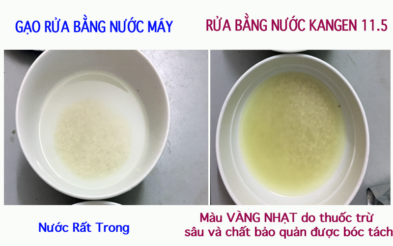 TUYỆT CHIÊU LOẠI BỎ DƯ CHẤT ĐỘC HẠI TRONG THỰC PHẨM VỚI NƯỚC KANGEN MẠNH