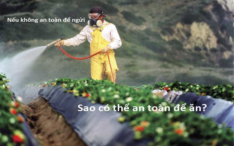 MÁCH NHỎ BẠN MẸO RỬA SẠCH HÓA CHẤT TRONG RAU CỦ QUẢ