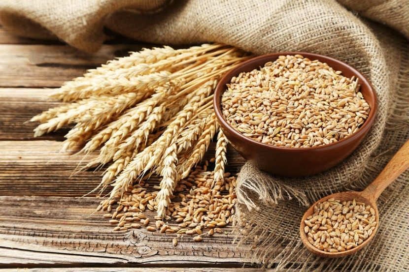 CHUYỆN KỂ THÀNH PHẦN: BARLEY - HẠT LÚA MẠCH: VIÊN NGỌC QUÝ CỦA PHÁI ĐẸP