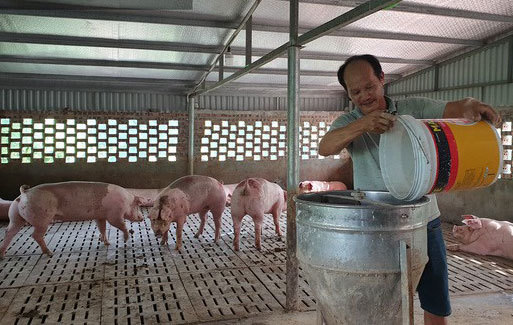 3 lý do nên lựa chọn máy đảo trộn thức ăn cho gia súc và vật nuôi
