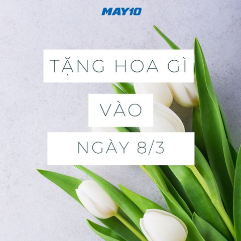 NÊN CHỌN HOA GÌ ĐỂ TẶNG NGÀY 8/3?