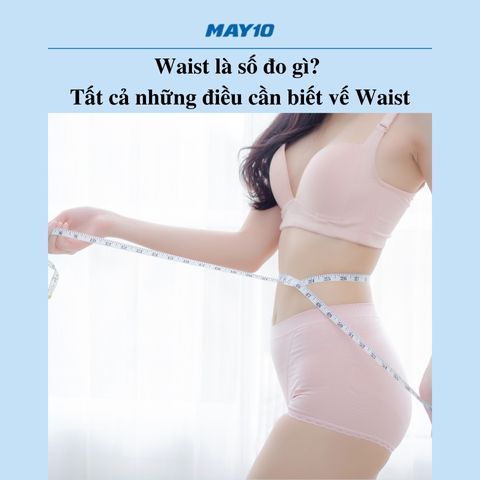 waist là số đo gì