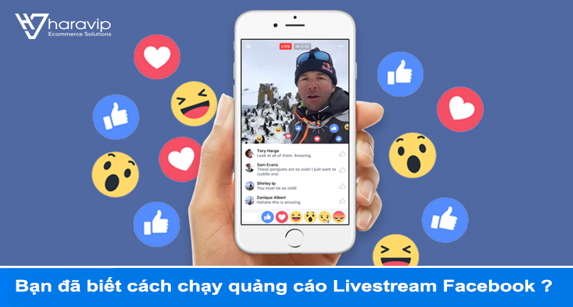 Bạn đã biết cách chạy quảng cáo Livestream Facebook ?
