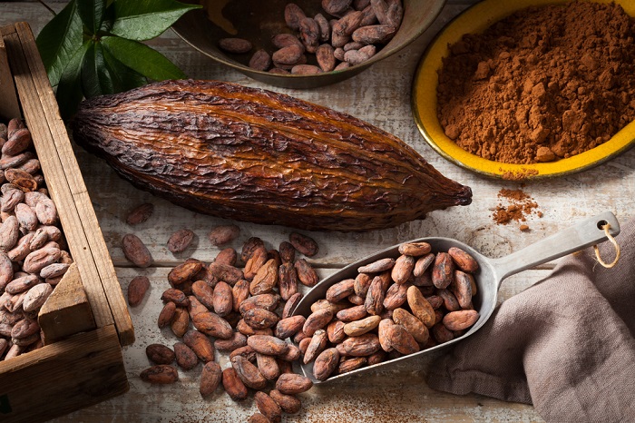 Nhờ lượng ca cao phong phú, socola Chocolate Graphics mang đến vị đắng đặc trưng của ca cao.