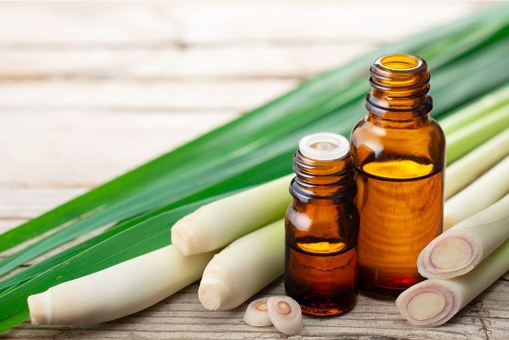 Cách làm tinh dầu sả đuổi muỗi