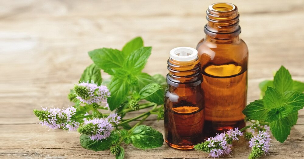 Công dụng tinh dầu bạc hà đa dạng