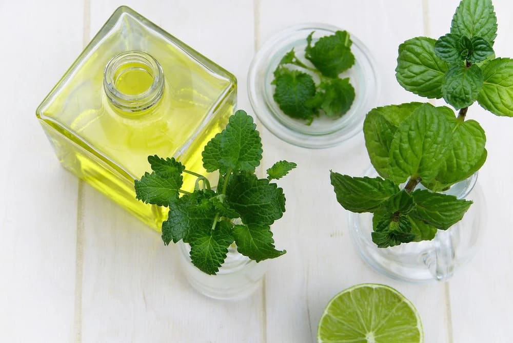 Những điều cần lưu ý khi tự làm và bảo quản tinh dầu bạc hà