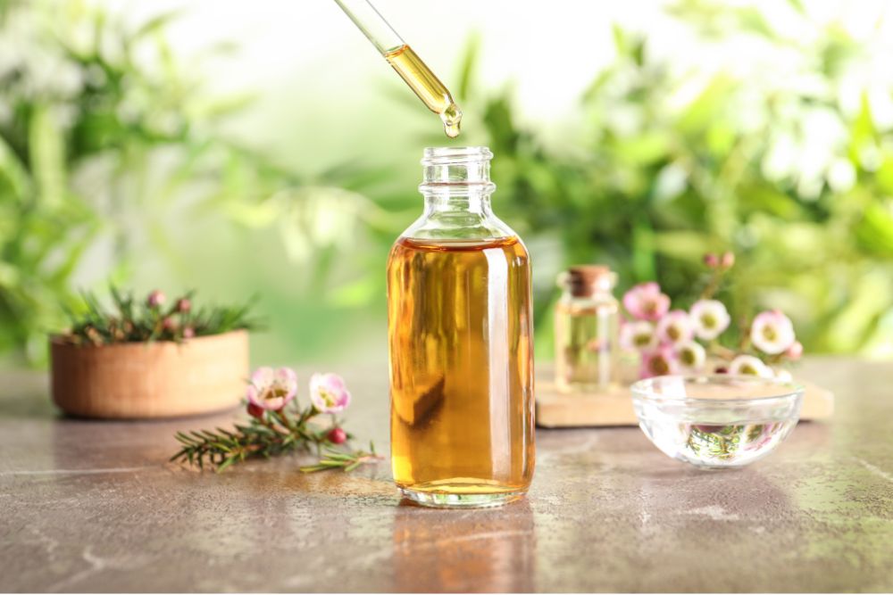 Tinh dầu tràm trà là gì