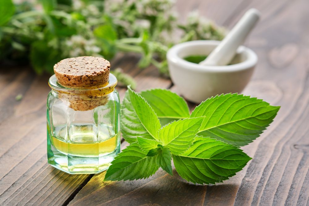 Một số tác dụng phụ của tinh dầu bạc hà cần lưu ý