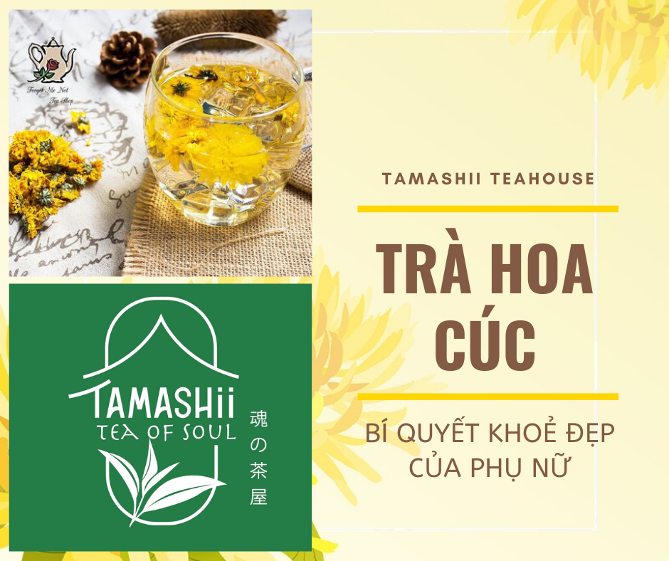 Trà hoa cúc - Trà thảo mộc thần kỳ cho sắc đẹp và sức khoẻ người Việt