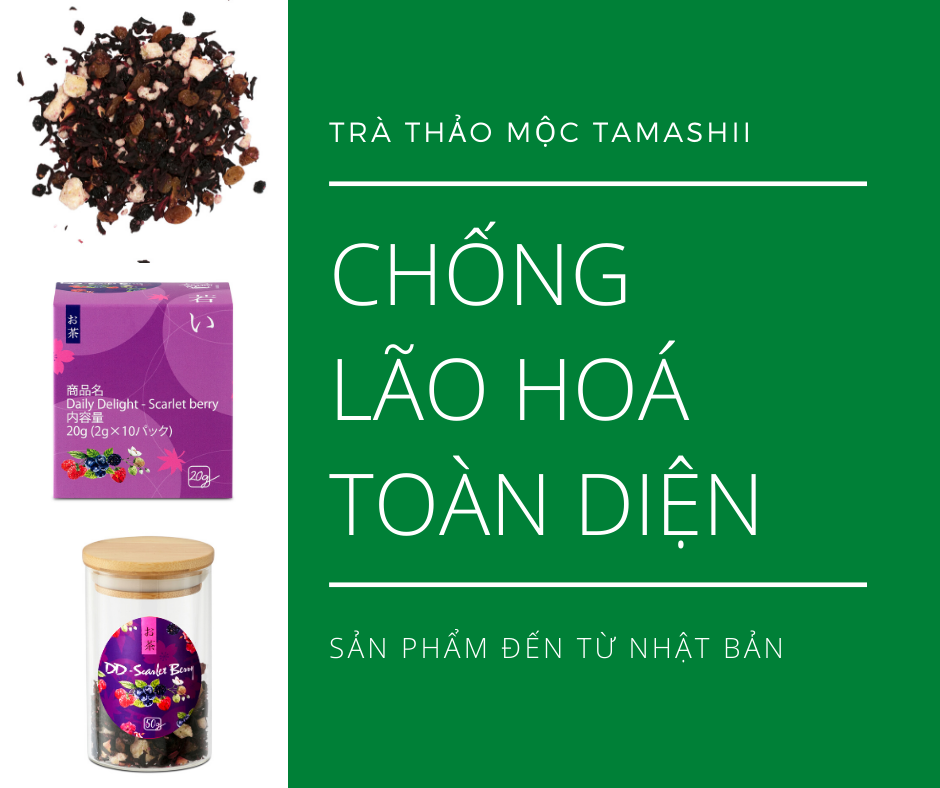 Trà thảo mộc Tamashii - Thức uống chống Oxi hoá toàn diện chống lão hoá