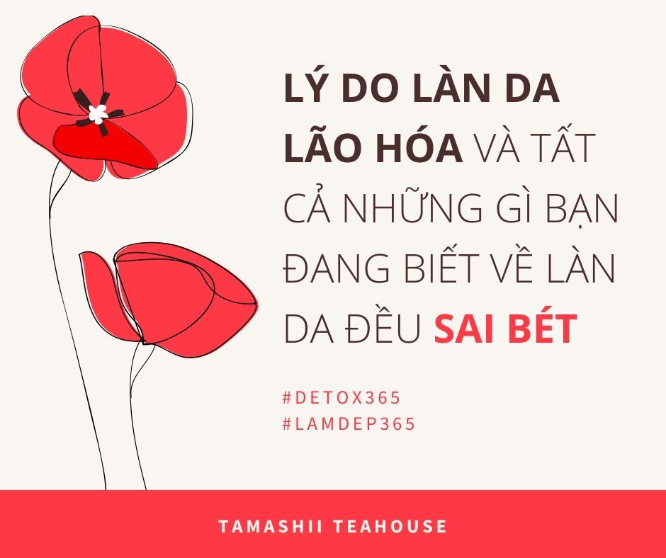 Lý do làn da lão hóa và tất cả những gì bạn đang biết về làn da đều sai bét