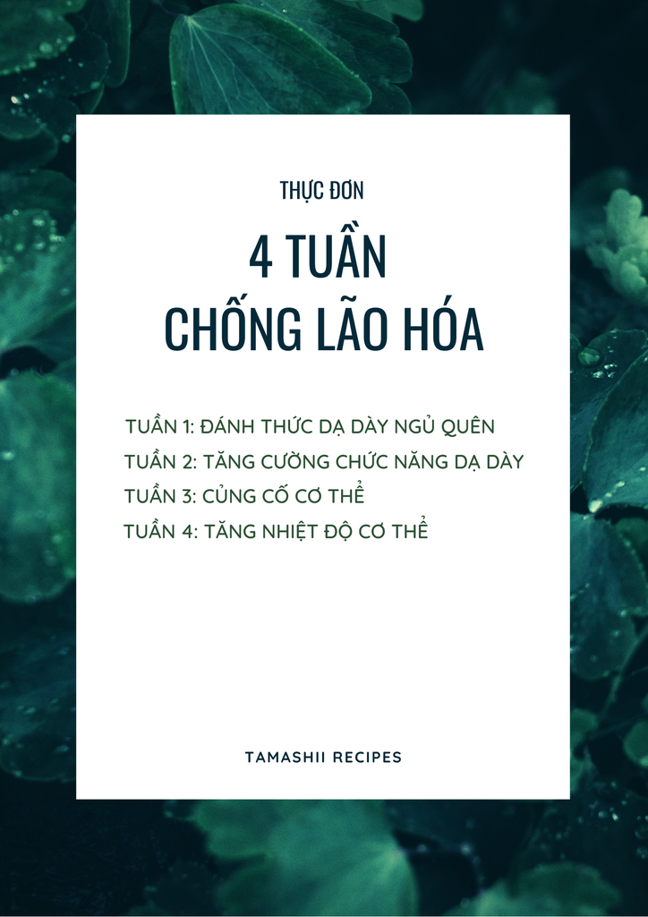 Thực đơn 4 tuần chống lão hóa với trà thảo mộc Tamashii