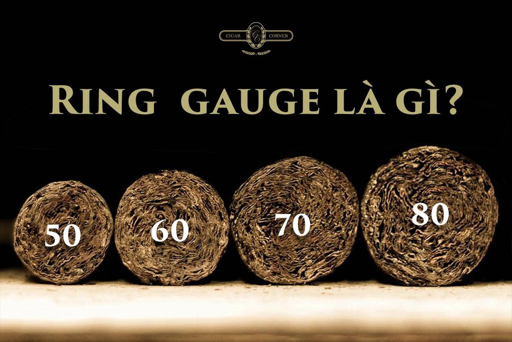 RING GAUGE LÀ GÌ? Cigar Corner