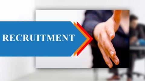Hồ sơ xin việc bao gồm những loại giấy tờ gì