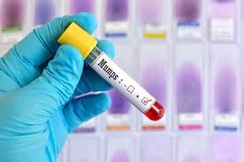 Porno juda katta kestirib