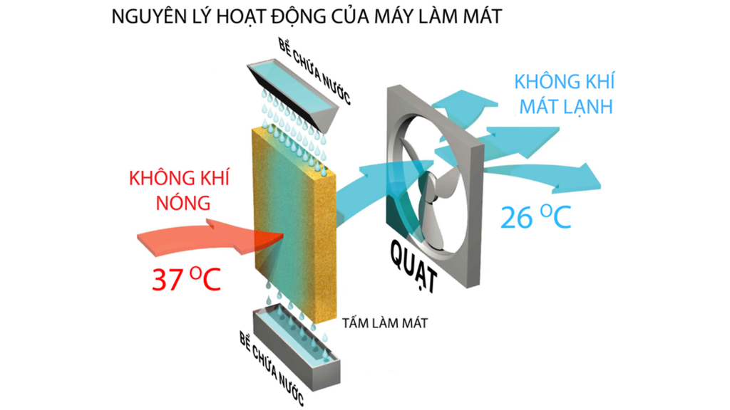 DM307 - Phương Nam WATER 1