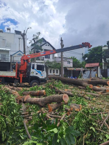 sào cắt cành cây