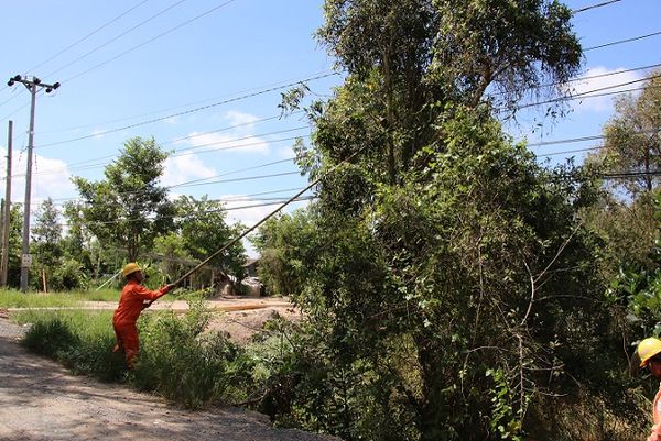 sào cắt cành cây