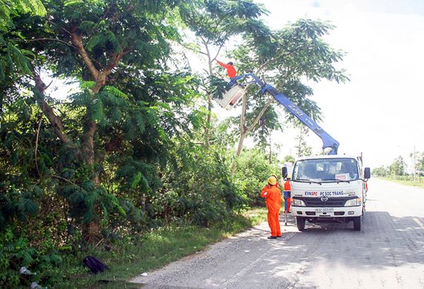 sào cắt cành cây