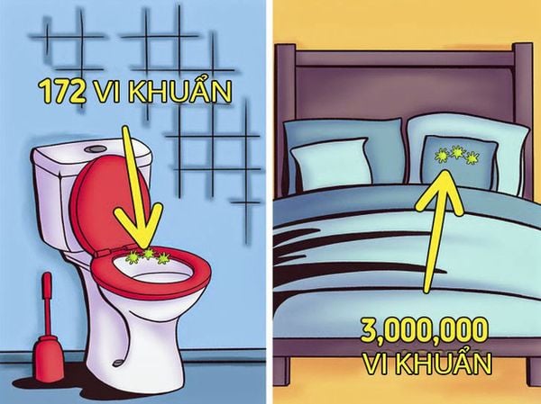 Hình ảnh bài viết