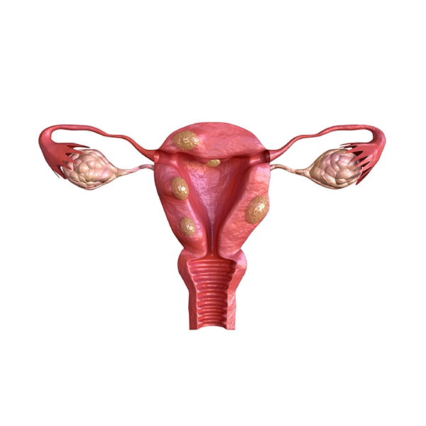 Hình ảnh bài viết