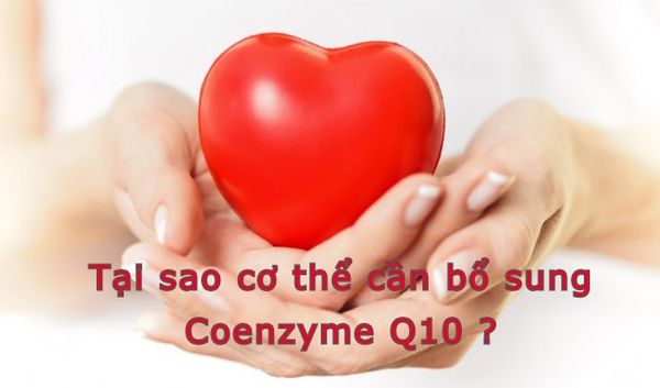 Hình ảnh bài viết