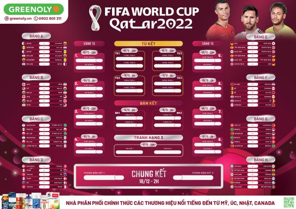 Hình ảnh bài viết