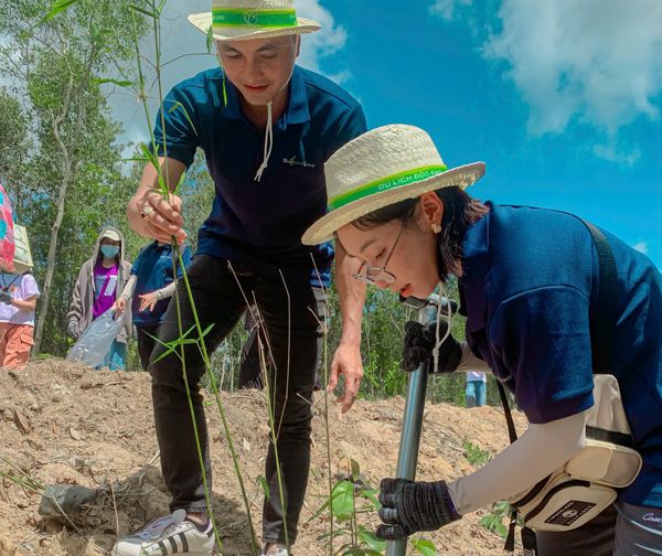 Hình ảnh bài viết
