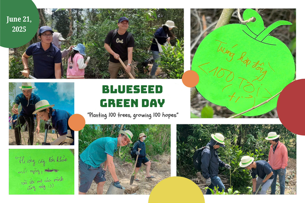 Hình ảnh bài viết