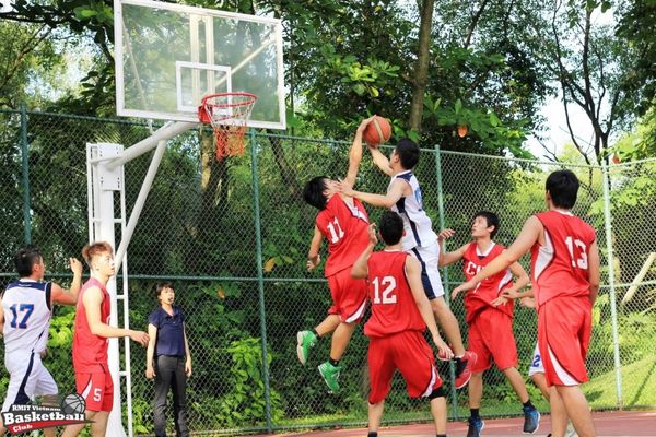 Hình ảnh bài viết