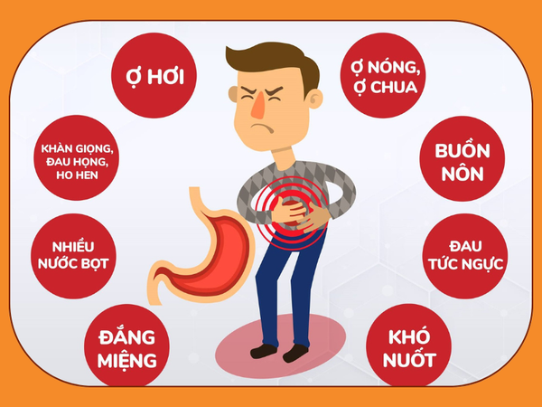 Hình ảnh bài viết