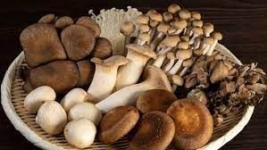 Hình ảnh bài viết