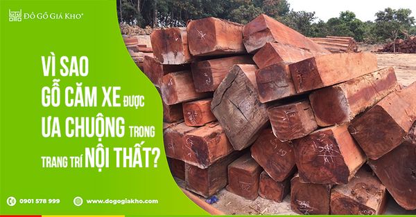 Vì sao Gỗ Căm Xe được ưa chuộng trong trang trí nội thất?