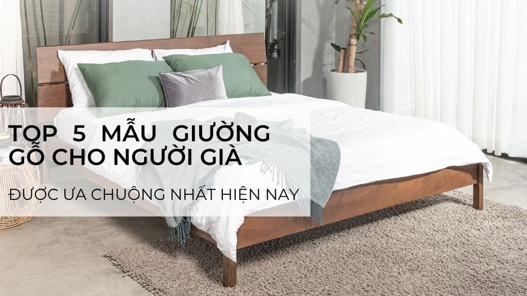 Top 5 Mẫu Giường Gỗ Cho Người Già Được Ưa Chuộng Nhất 2025 – An Toàn, Dễ Sử Dụng, Giá Tốt