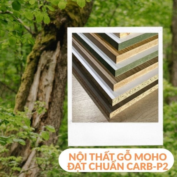 Hình ảnh bài viết