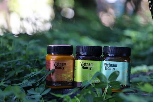 Vietnam Honey và Manuka - Điểm sáng tương đồng về bao bì